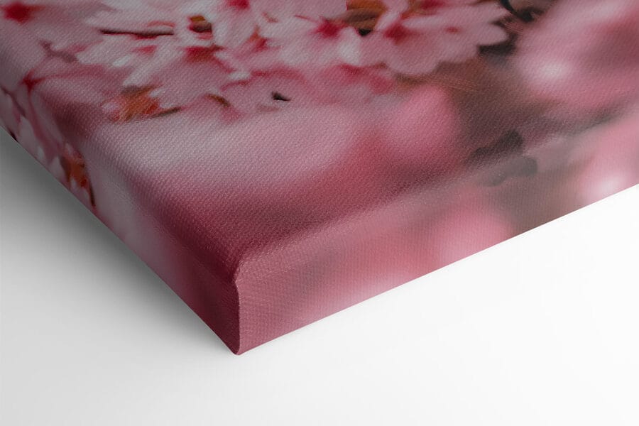 Een uil in een boom met roze bloemen Een uil in een boom met roze bloemen