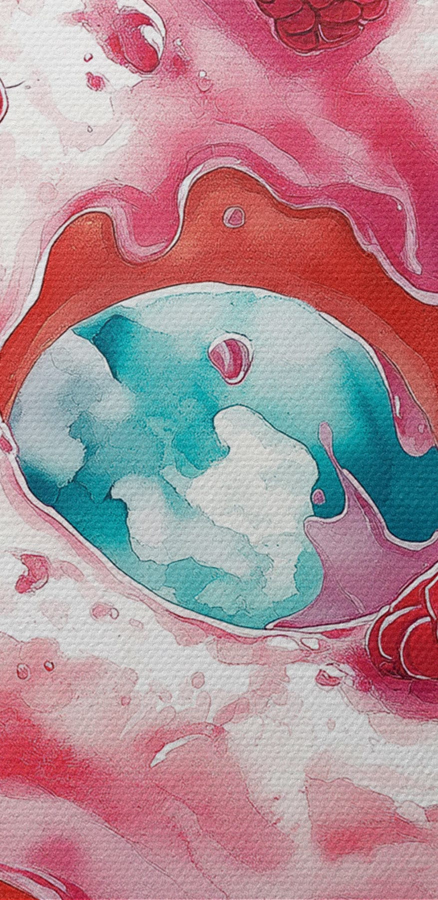 Schilderij van een donut met frambozen en melkspetters Schilderij van een donut met frambozen en melkspetters