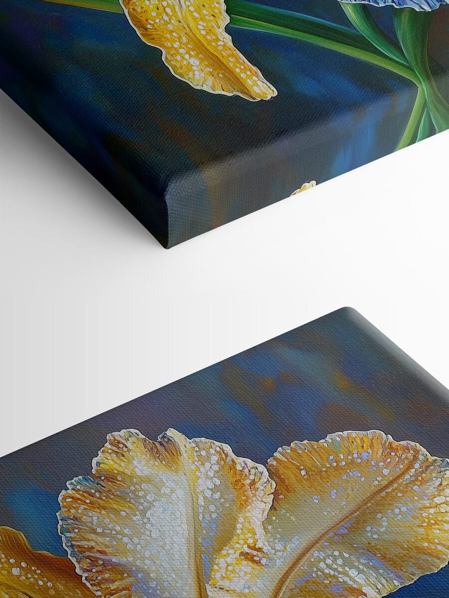 Gele en blauwe bloem