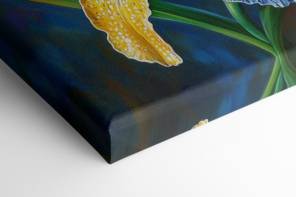 Yellow and blue flower