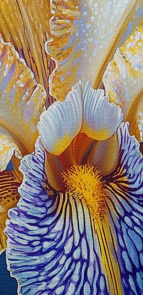 Yellow and blue flower