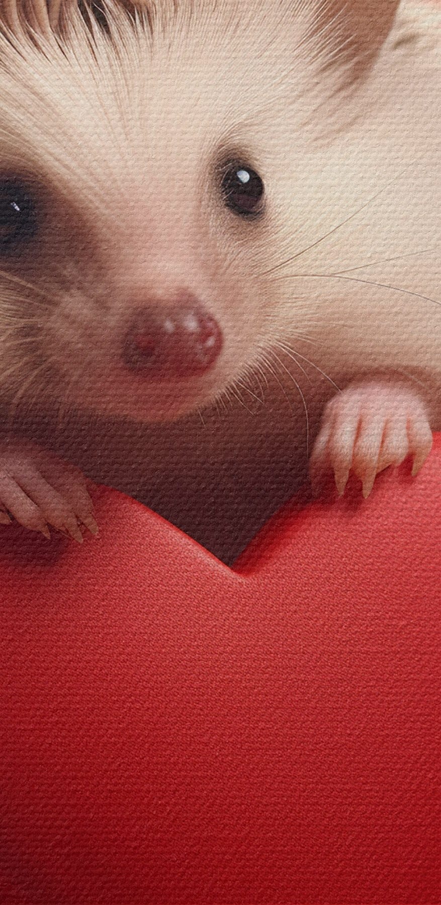Egel met hart