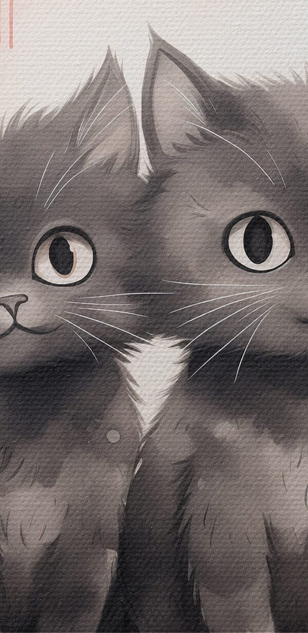 Twee katten naast elkaar Twee katten naast elkaar