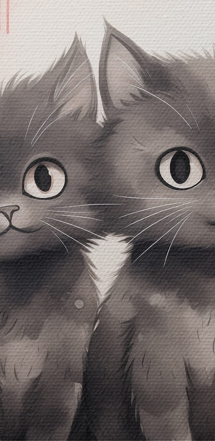 Twee katten naast elkaar
