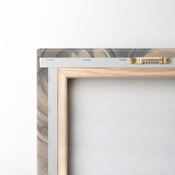 Witte zwaan met zwarte snavel Witte zwaan met zwarte snavel
