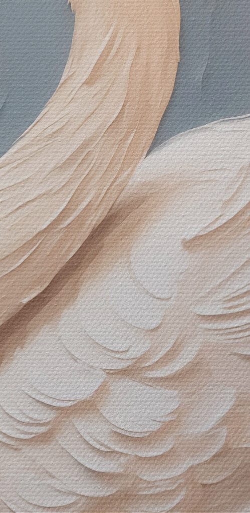 White swan with a black beak