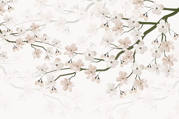Witte bloemen aan een tak Witte bloemen aan een tak