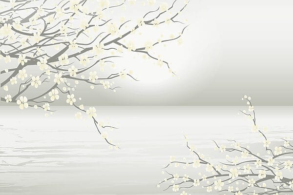 Boom met witte bloemen Boom met witte bloemen