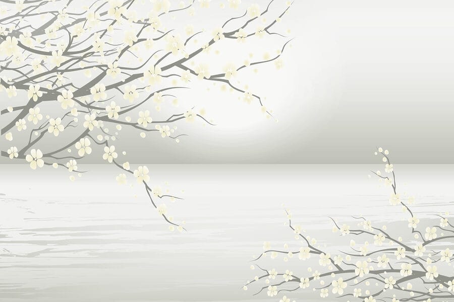 Boom met witte bloemen
