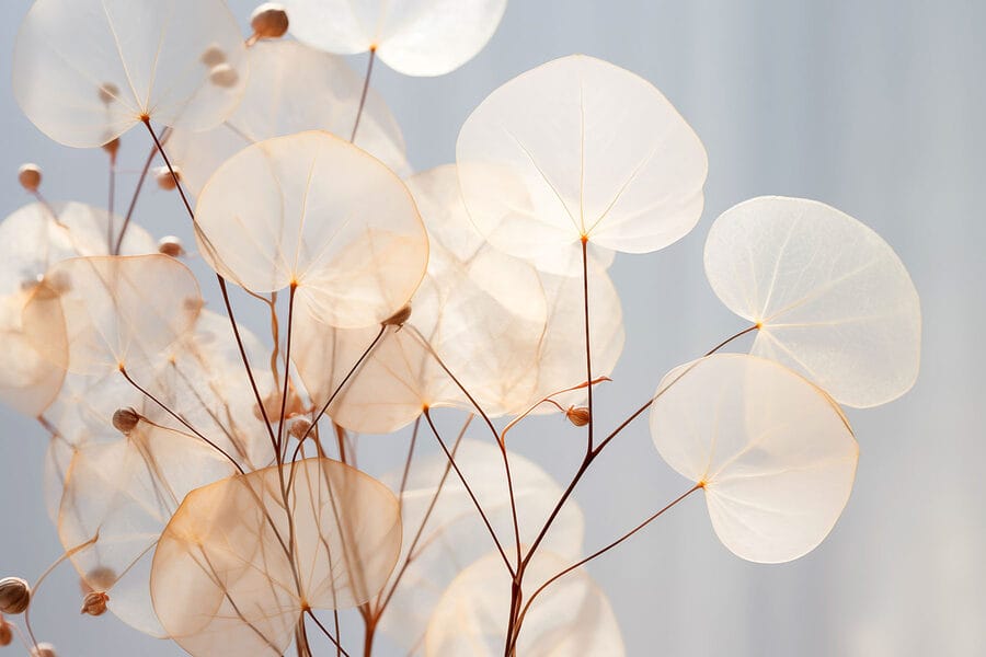 Delicate bladeren wiegen zachtjes in het licht