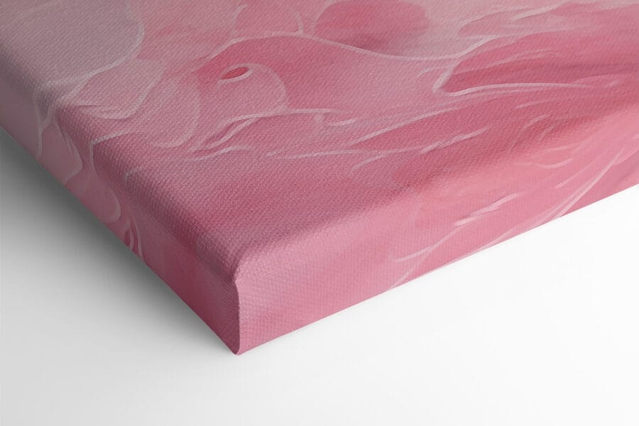 Roze en witte wolk Roze en witte wolk