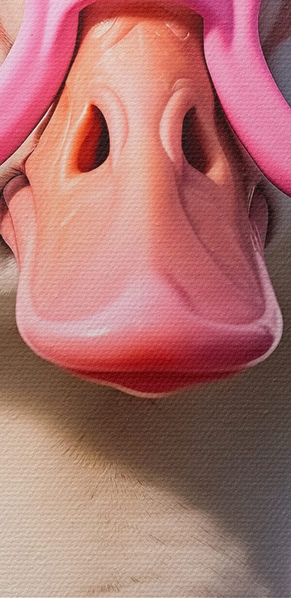Eend met roze bril Eend met roze bril