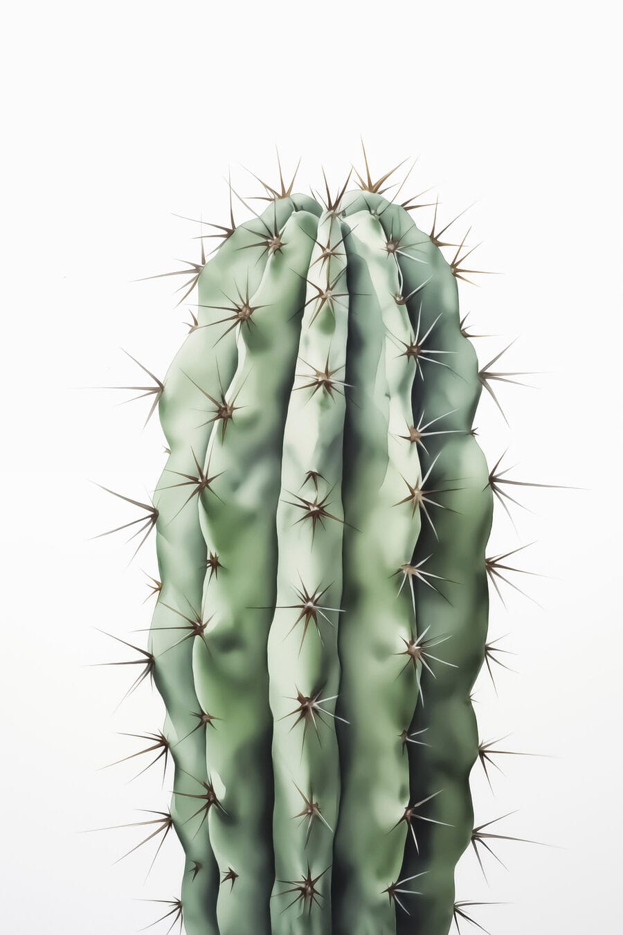 Cactus met doornen