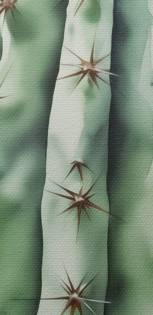 Cactus with thorns on it