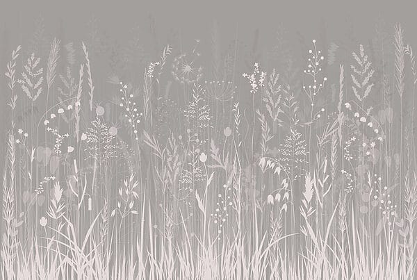 Grasveld met bloemen Grasveld met bloemen