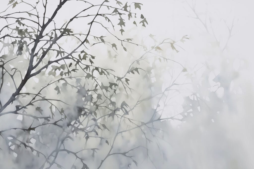 Boom met bladeren in mist Boom met bladeren in mist