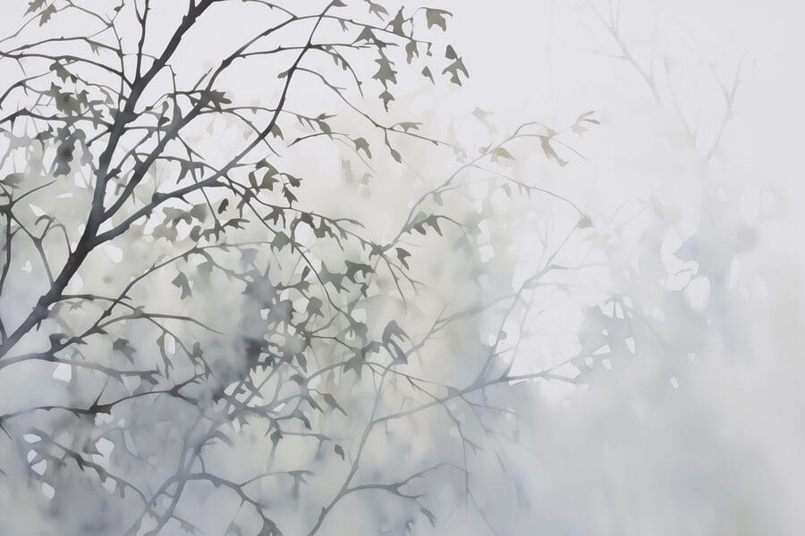 Boom met bladeren in mist
