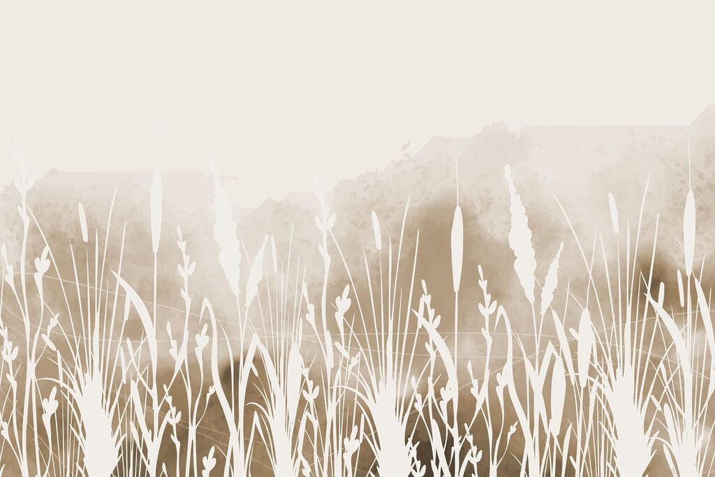 Wit silhouet van gras Wit silhouet van gras