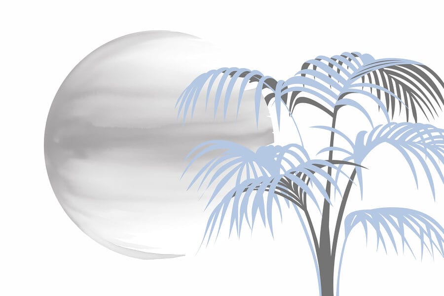 Boom met bladeren en een ronde witte cirkel