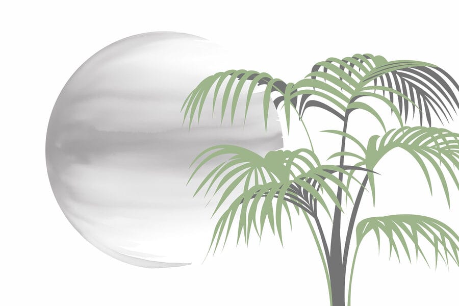 Palmboom en een ronde witte bol