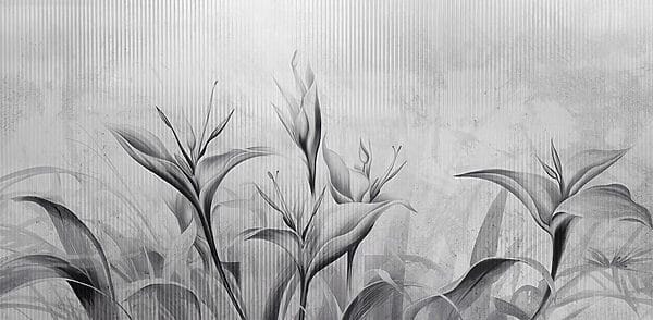 Black and white image of flowers