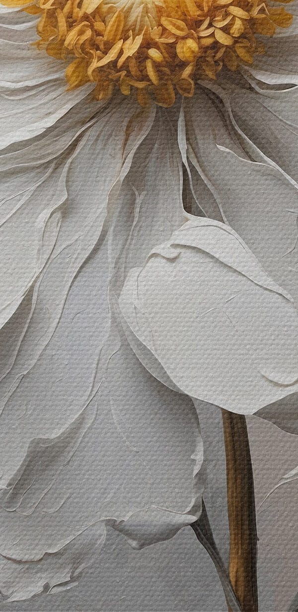 Witte bloem met geel hart Witte bloem met geel hart