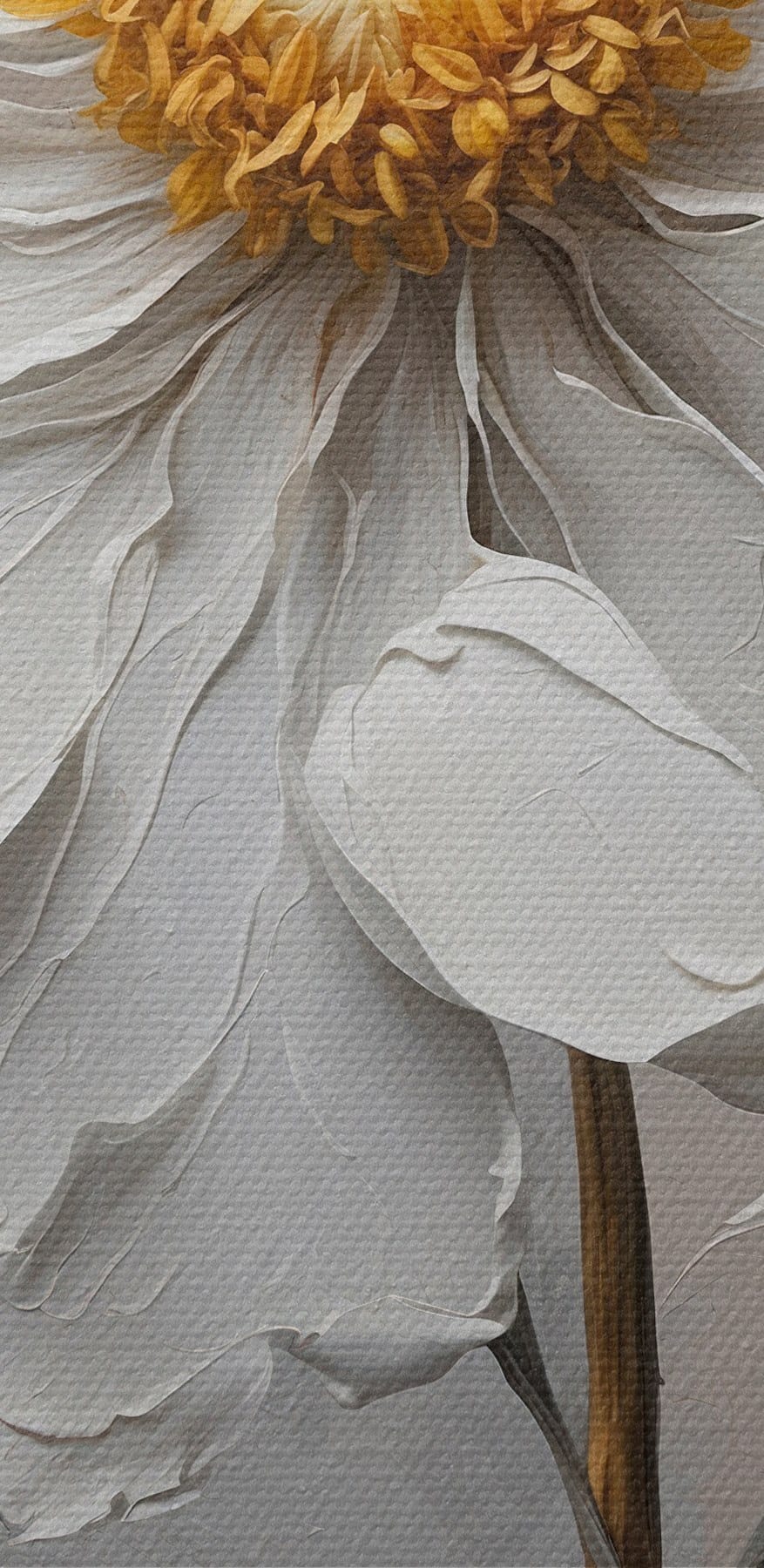 Witte bloem met geel hart