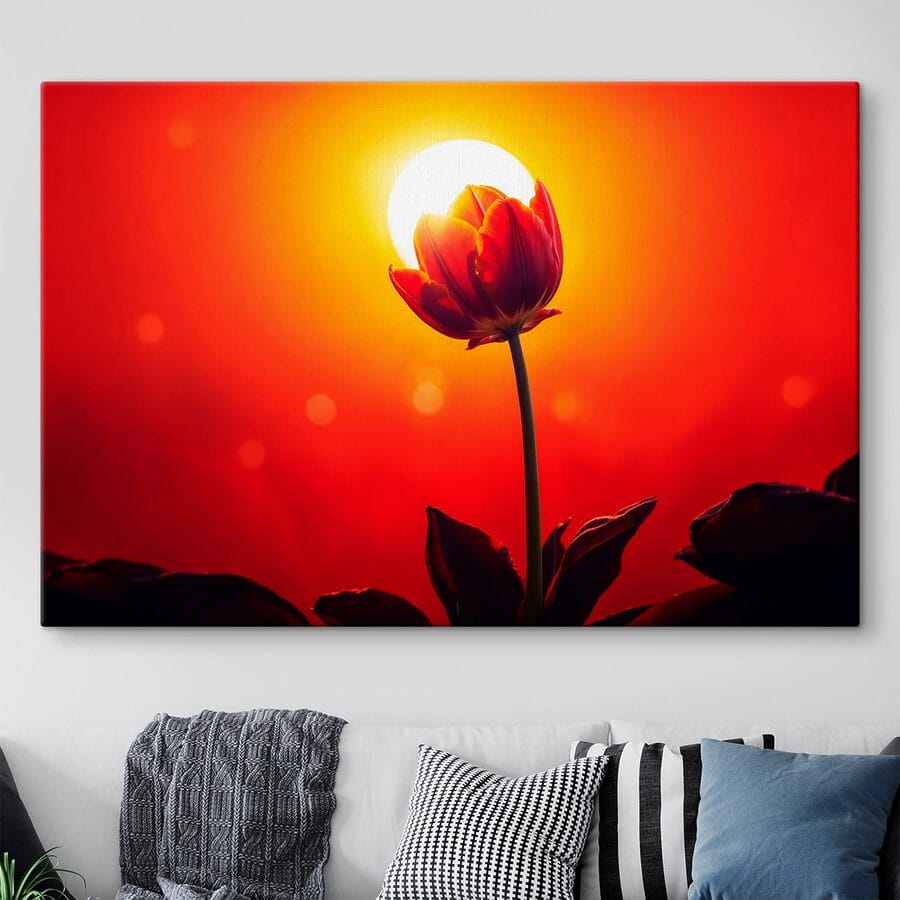 Rode tulp met de zon erachter