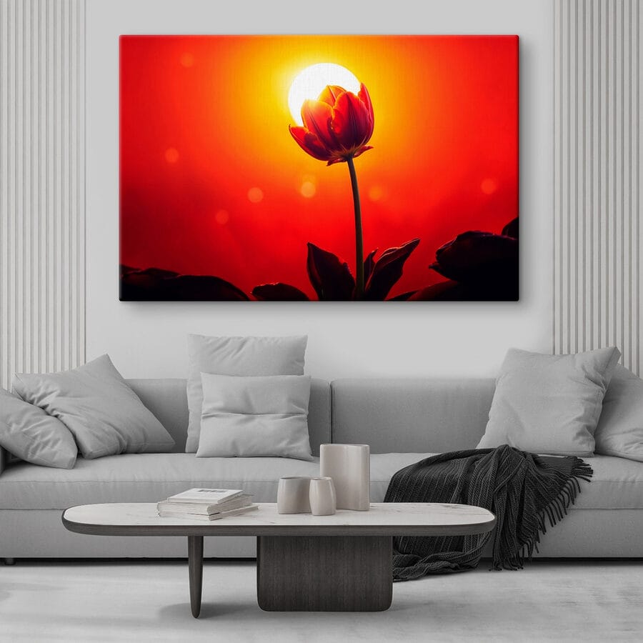 Rode tulp met de zon erachter