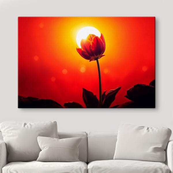 Rode tulp met de zon erachter Rode tulp met de zon erachter