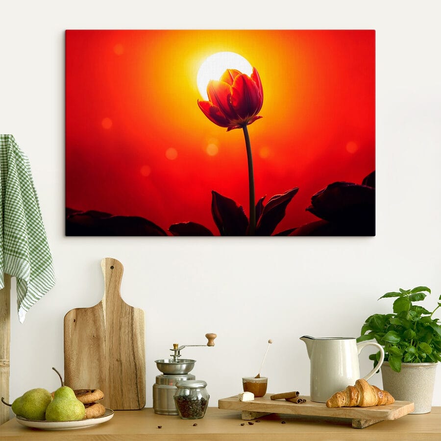 Rode tulp met de zon erachter