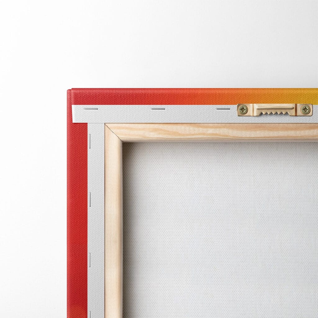 Red tulip with the sun behind it Red tulip with the sun behind it