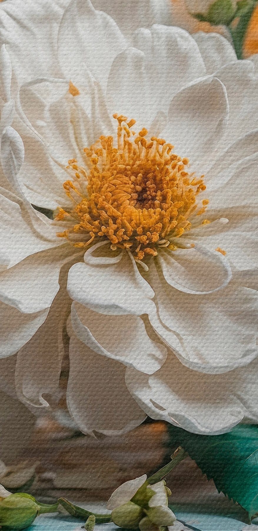 Groep witte bloemen