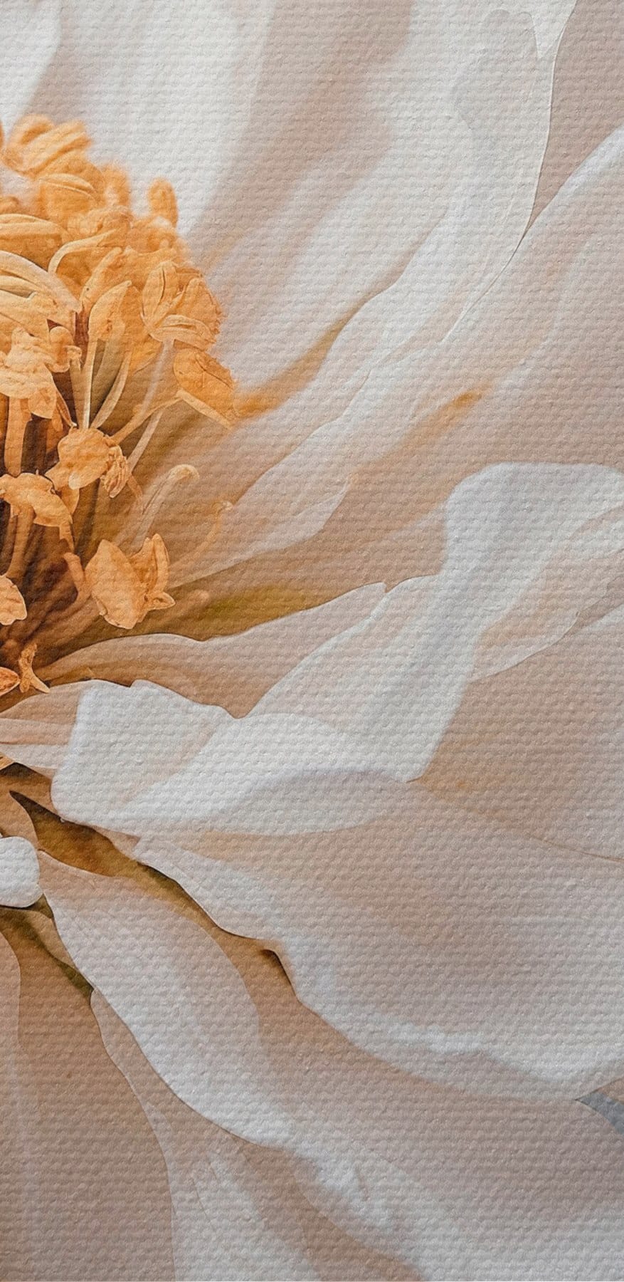 Delicate bloemblaadjes, de zachte aanraking van de natuur’s