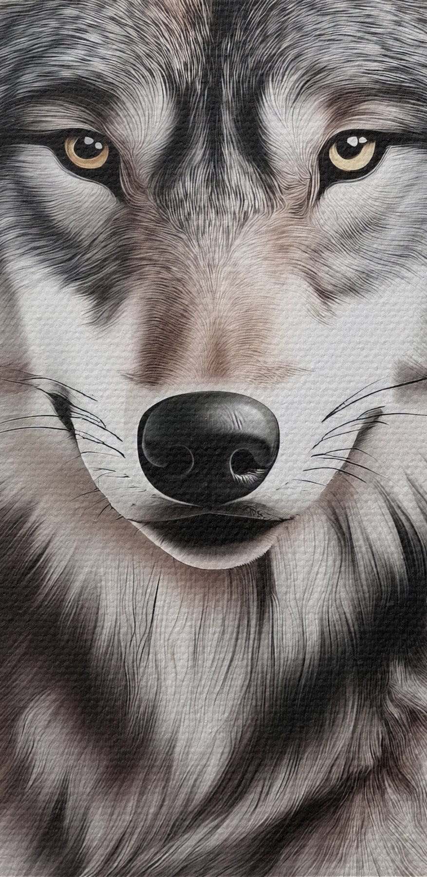 Wolf ligt naar de camera te kijken