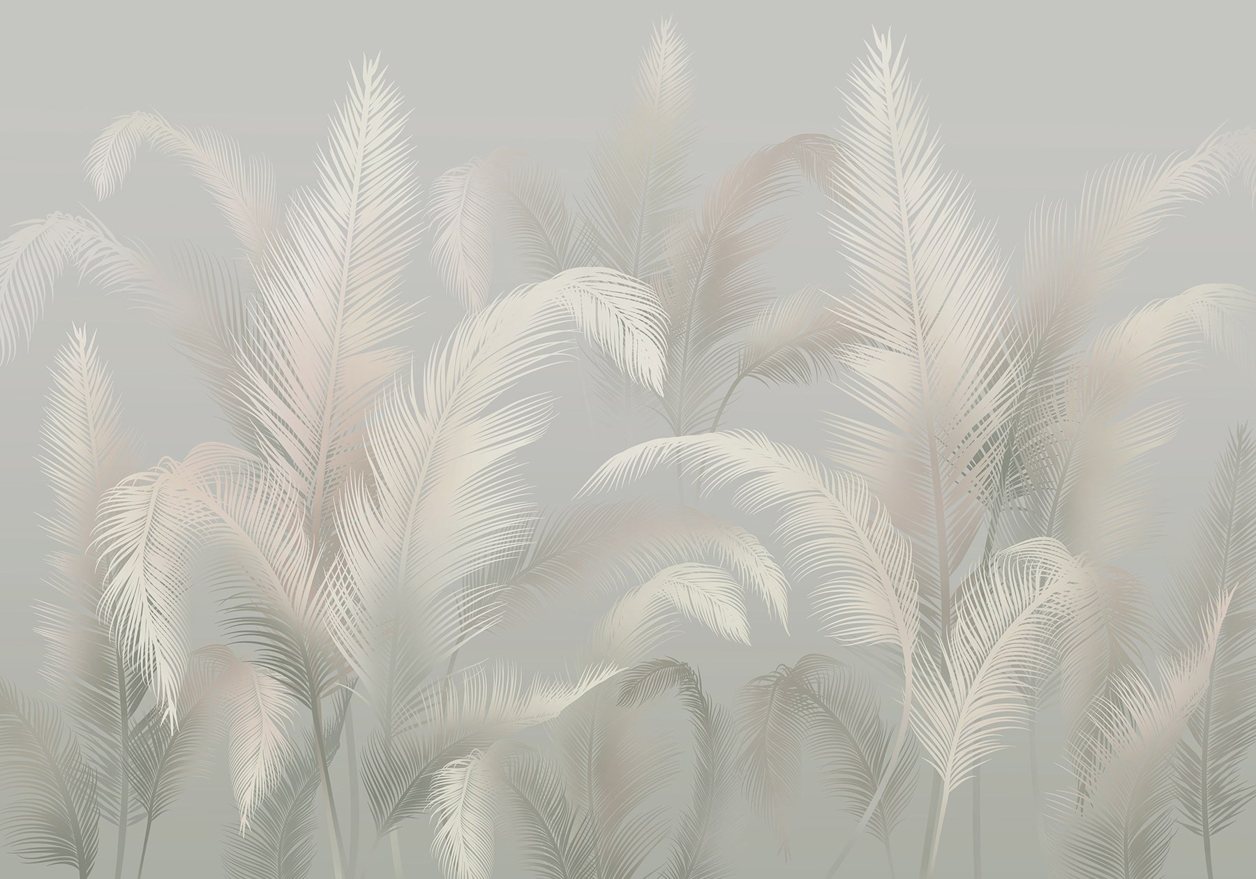 Group of white feathers