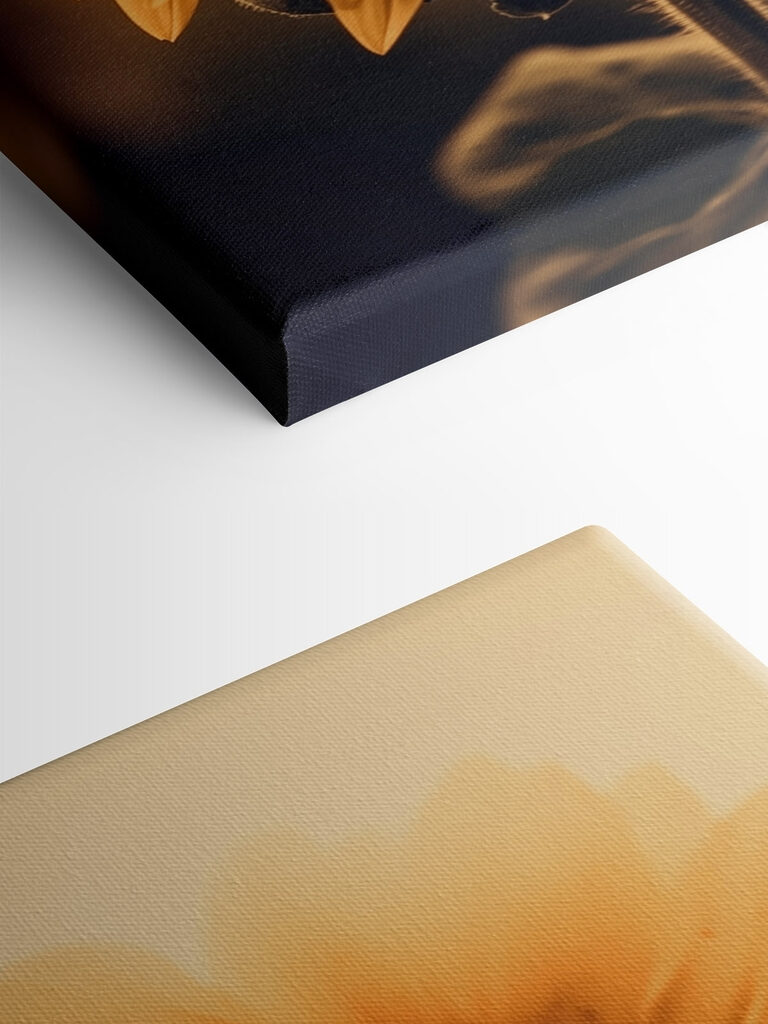 Vibrant petals in soft sunlight Vibrant petals in soft sunlight