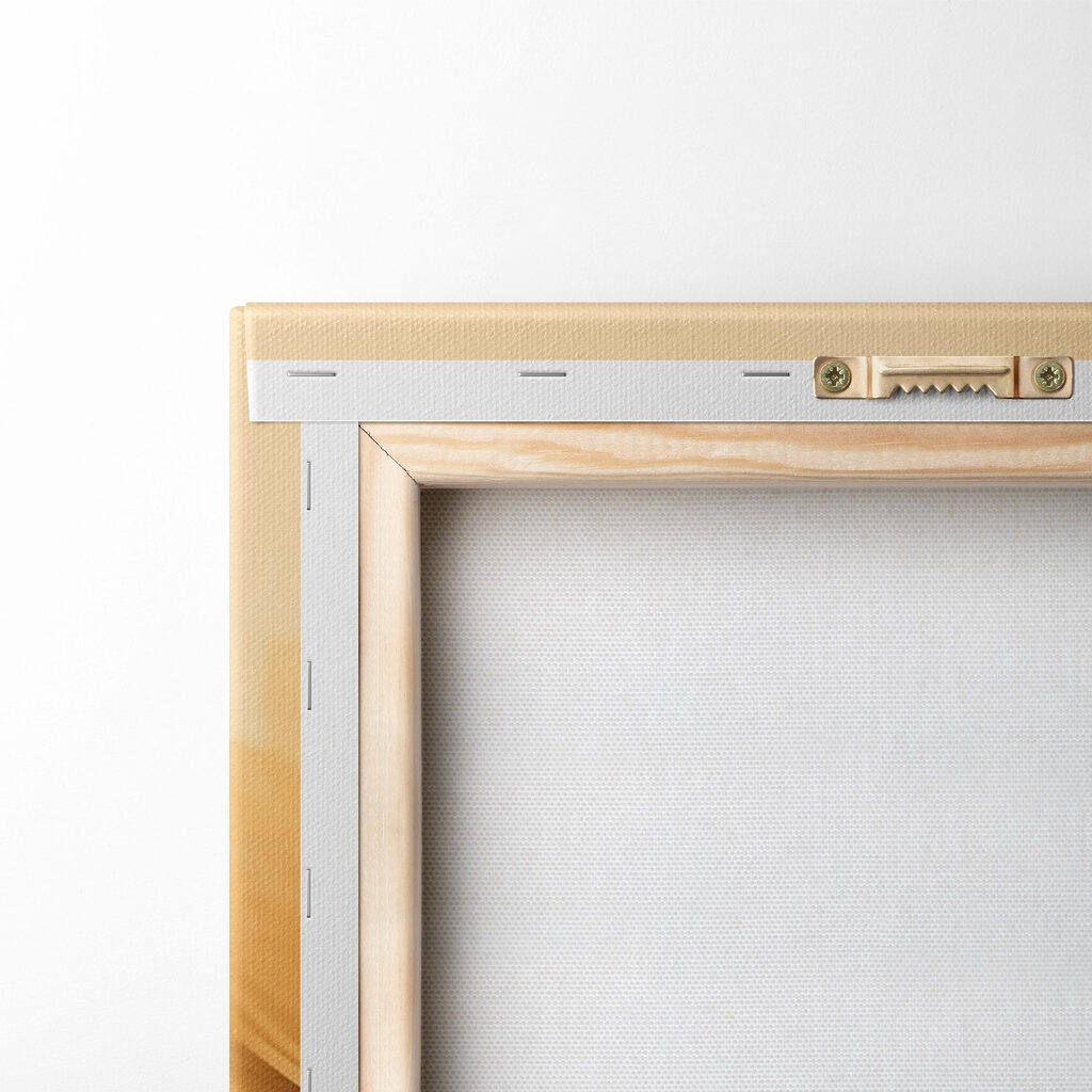 Vibrant petals in soft sunlight Vibrant petals in soft sunlight