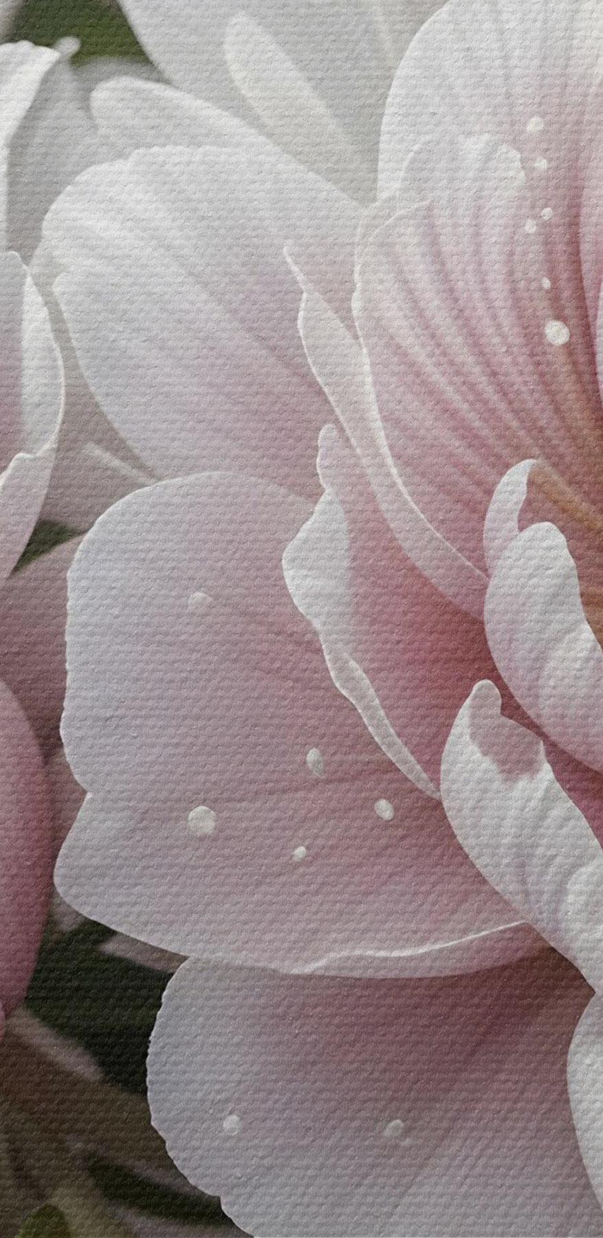 Groep roze bloemen