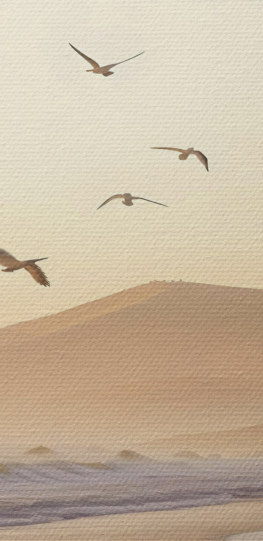 Vogels vliegen over een strand Vogels vliegen over een strand