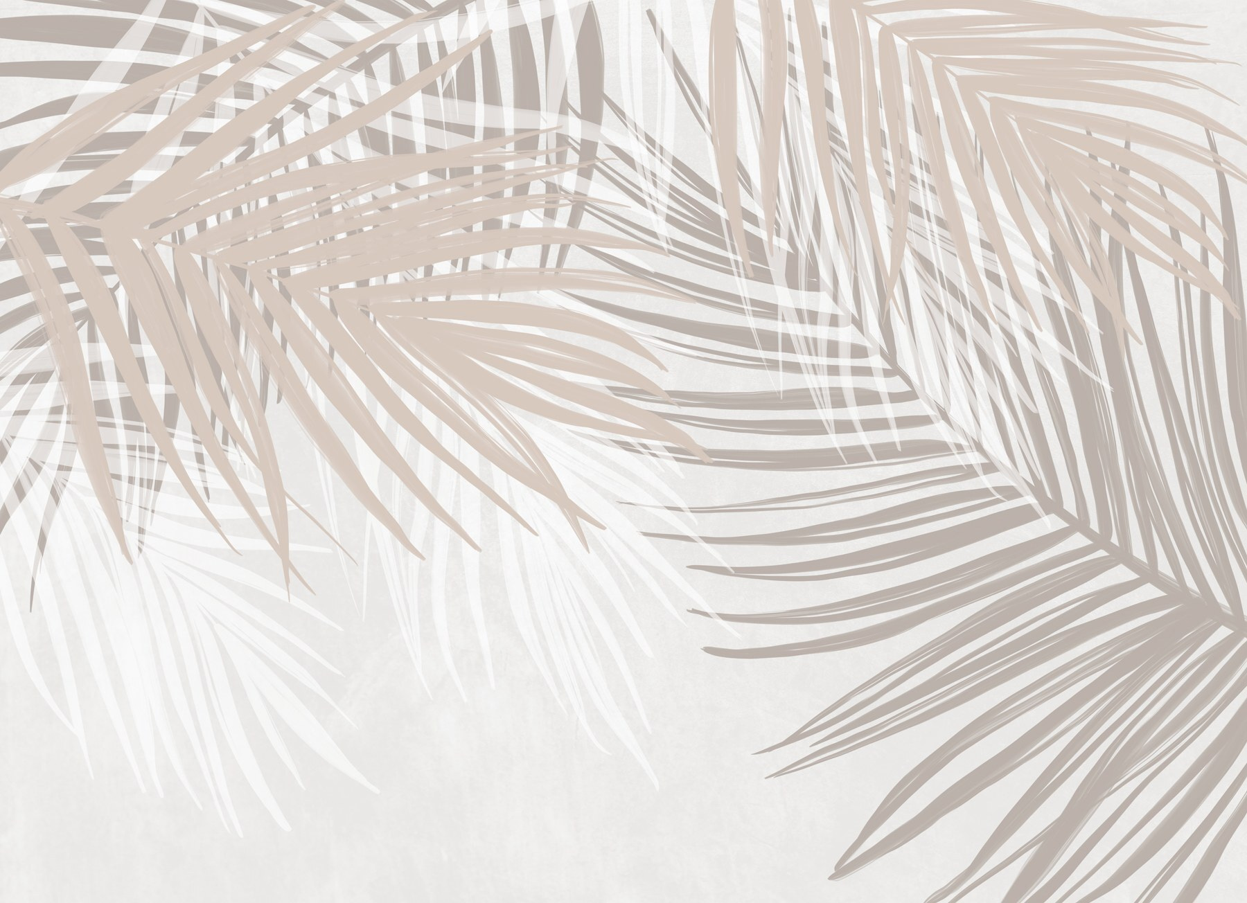Soft hues of palm leaves intertwine Soft hues of palm leaves intertwine