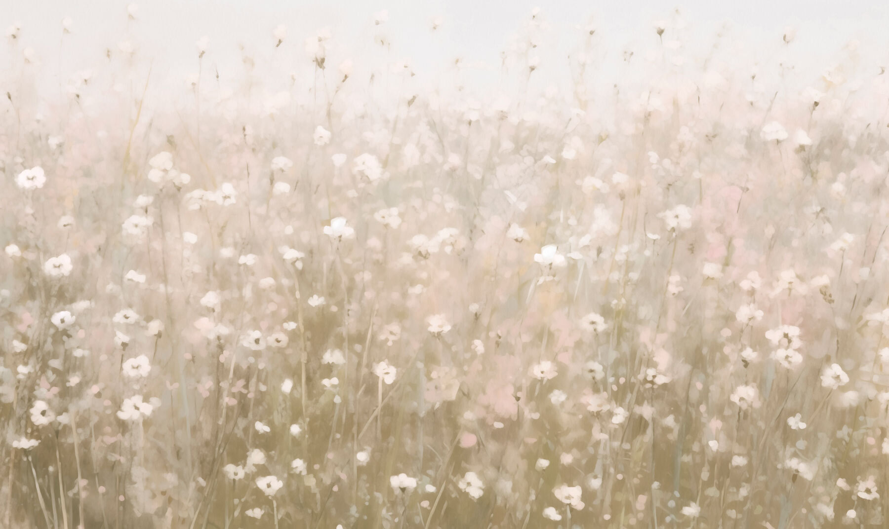 Field of flowers Field of flowers
