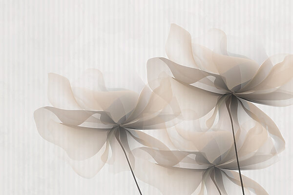 Soft petals in gentle tones Soft petals in gentle tones