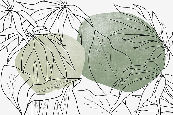 Tekenen van bladeren en planten Tekenen van bladeren en planten