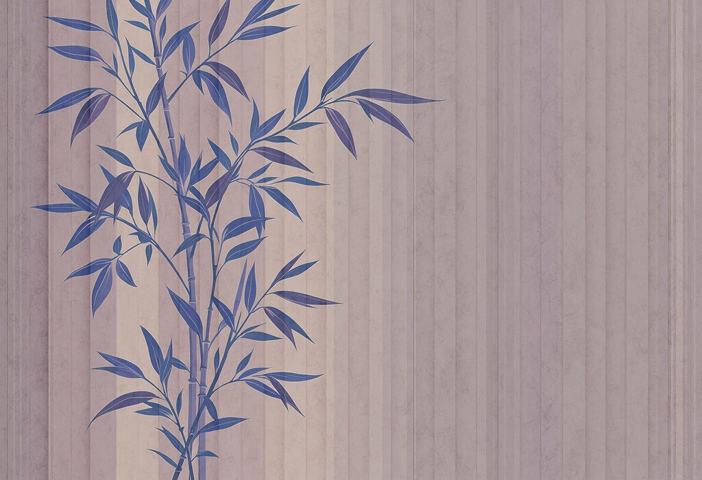 Plant met blauwe bladeren Plant met blauwe bladeren