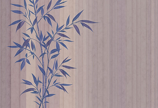 Plant met blauwe bladeren Plant met blauwe bladeren
