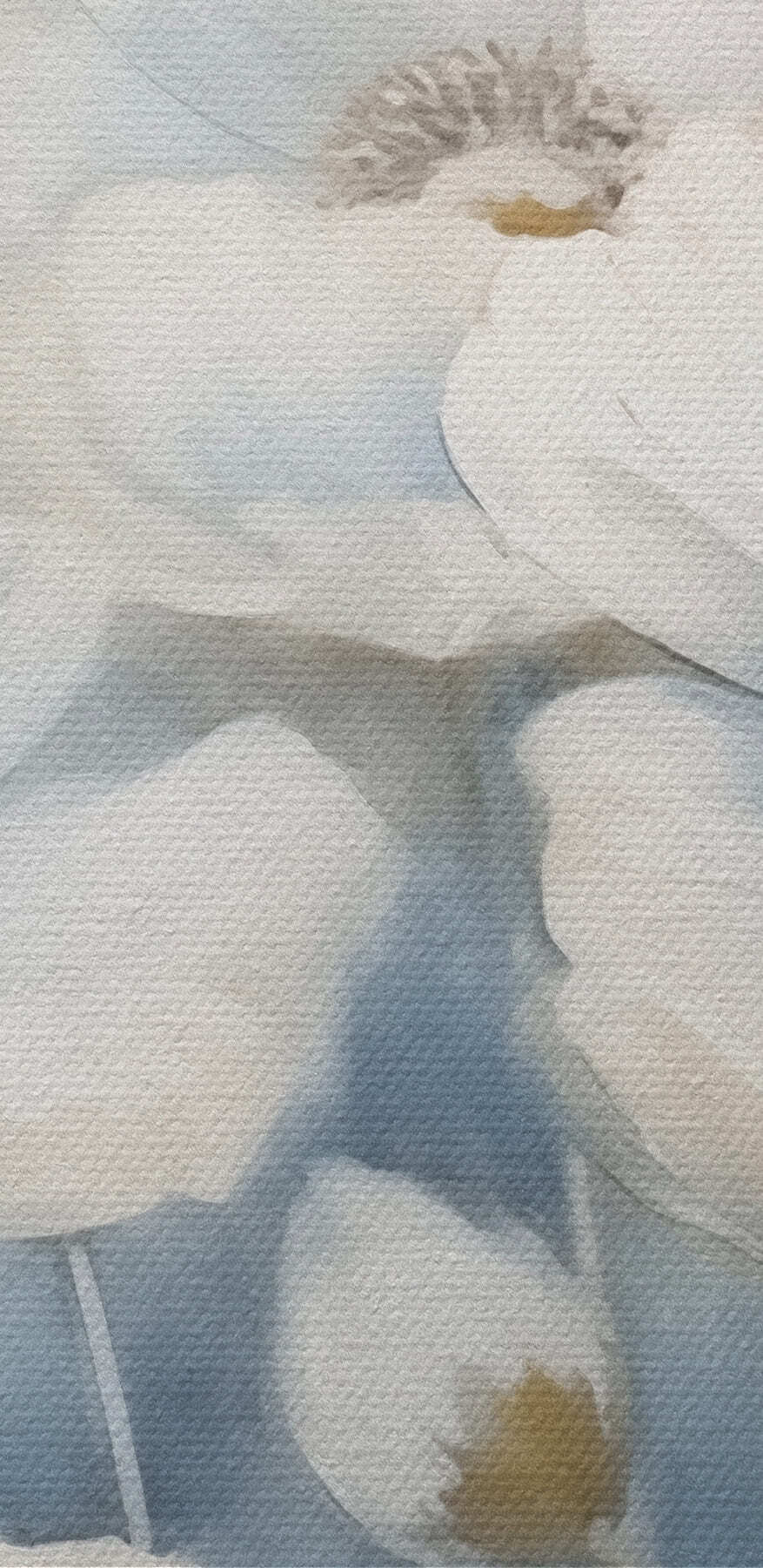 Schilderij van witte bloemen