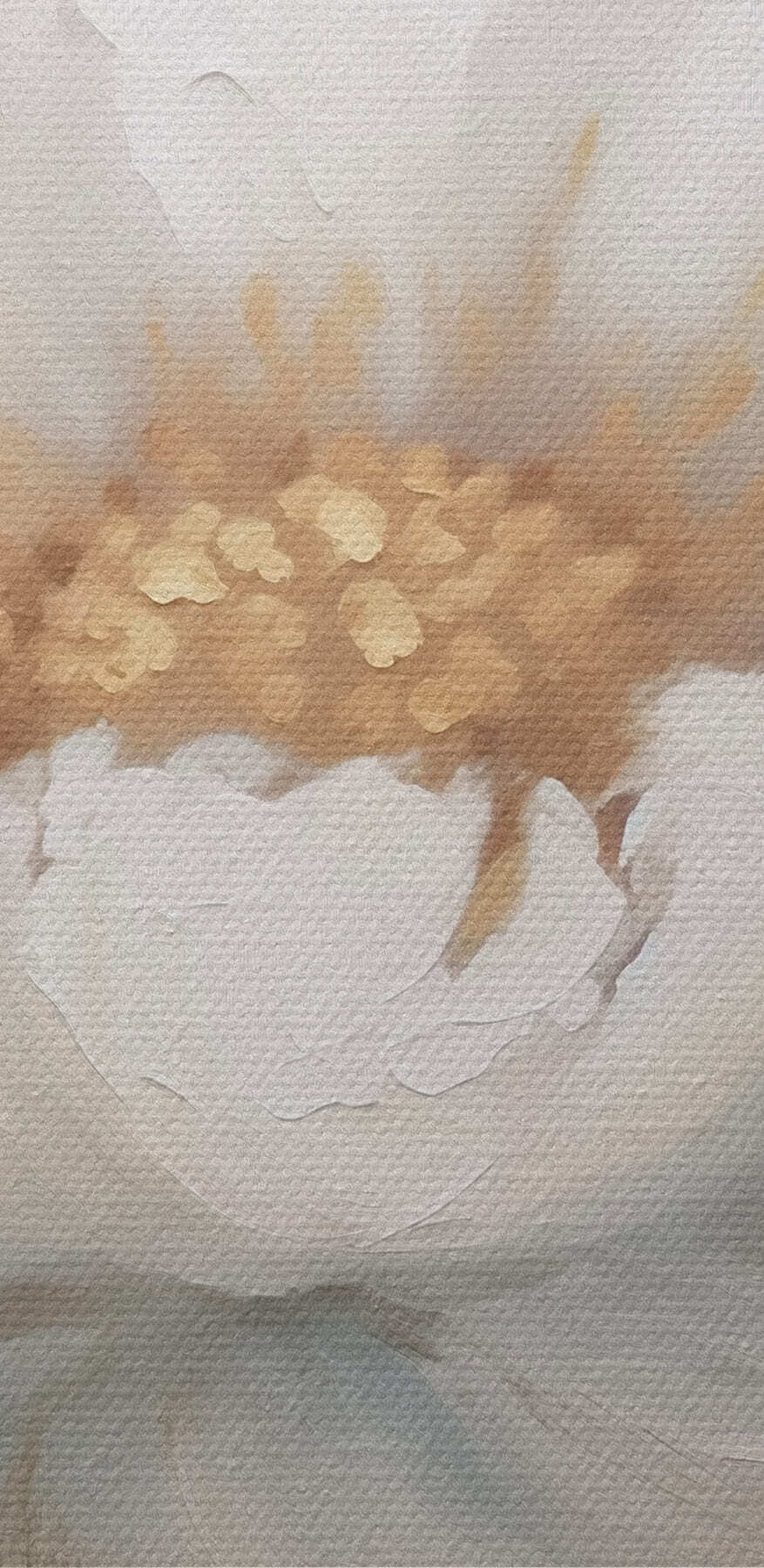 Witte bloem met geel hart