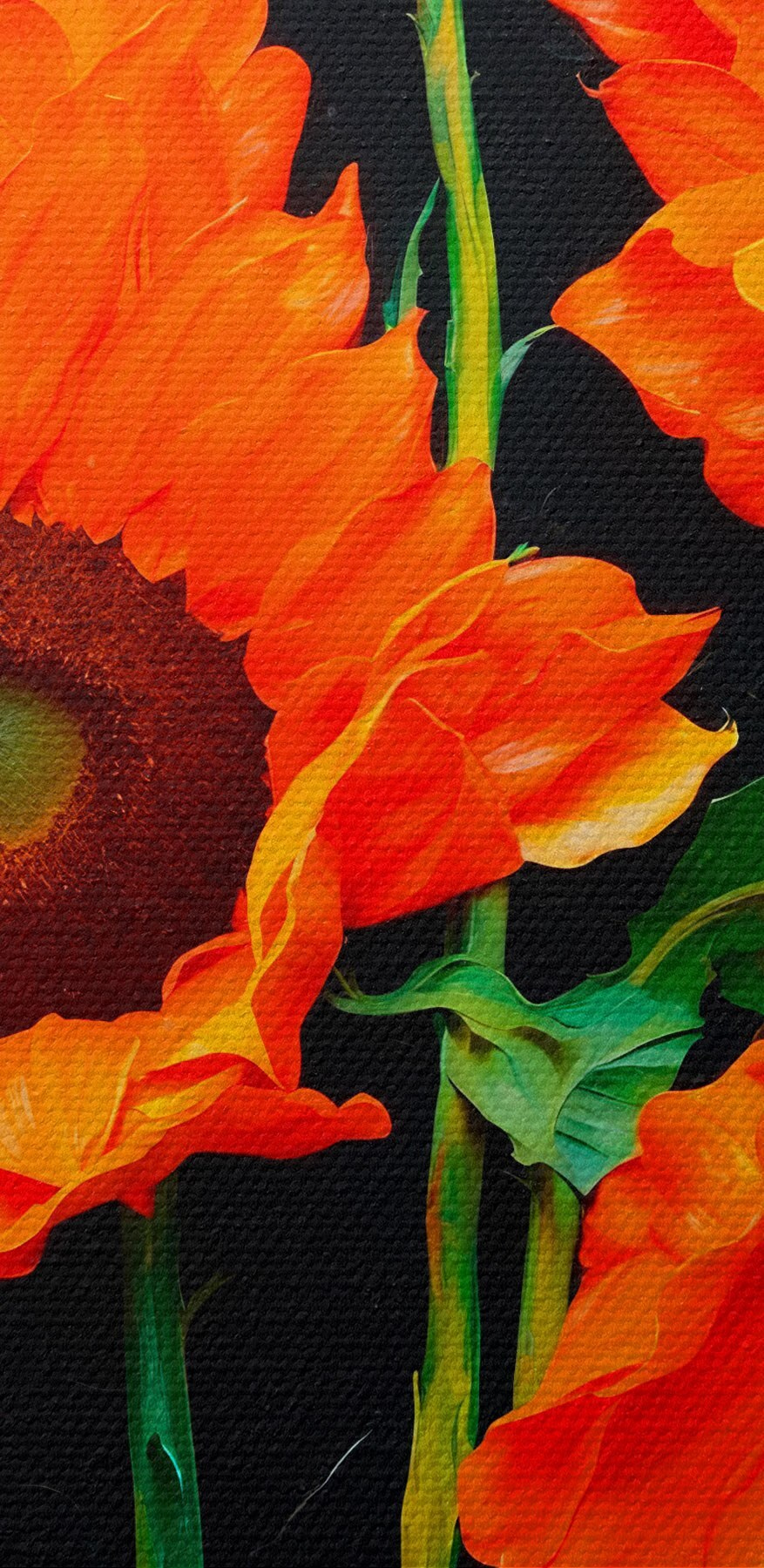 Groep oranje bloemen