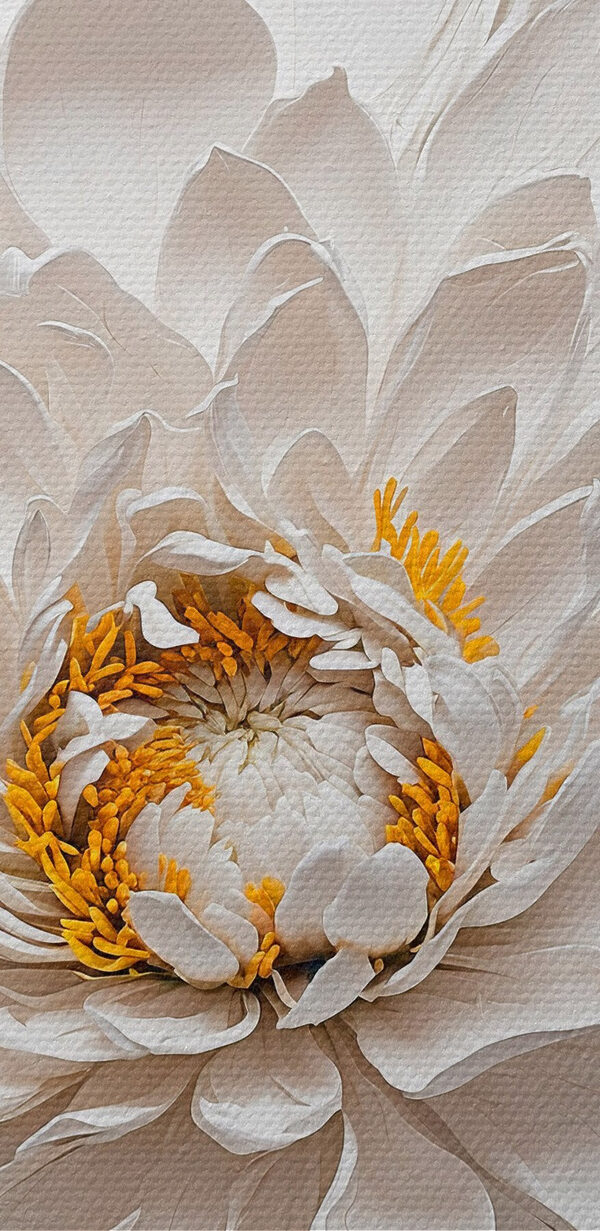 Witte bloem met geel hart Witte bloem met geel hart